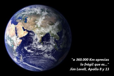 Ecowiki, contra las amenazas del medio ambiente