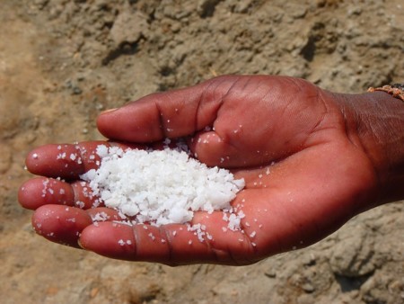 El secreto para conservar alimentos durante la historia: sal, acidez y bacterias del propio alimento