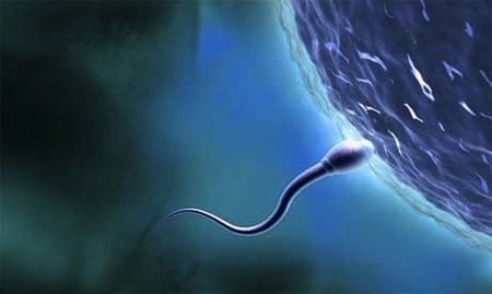 Tener relaciones sexuales a diario mejora la calidad del semen