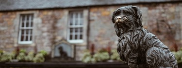 En 1858, un vigilante nocturno de Edimburgo falleció, su fiel perro permaneció 14 años junto a su tumba y hoy se le rinde homenaje en un famoso cementerio 