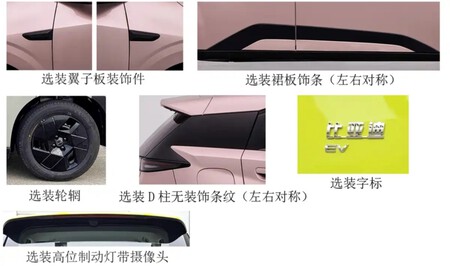 byd dolphin mini