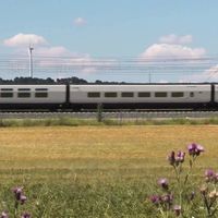 El "Tren de Zorrilla", un buen plan para disfrutar de Valladolid