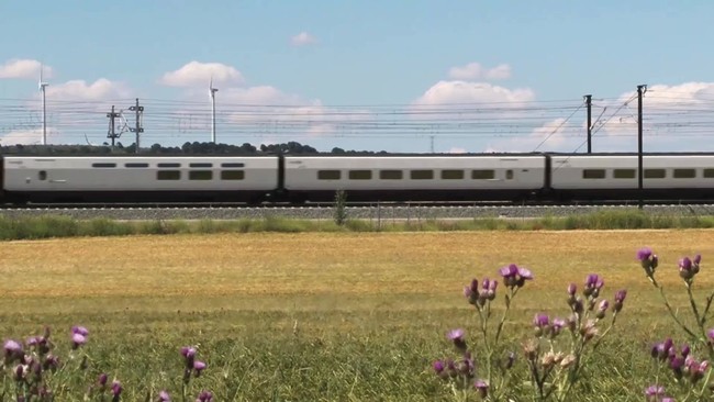 Tren Turistico Zorrilla