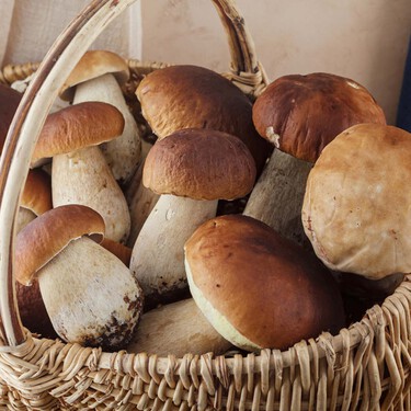 Los boletus congelados pierden textura, pero son los mejores para estas recetas en concreto, según el dos estrellas Michelin Benito Gómez