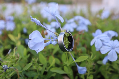 Galaxy Ring