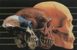 Quiz Genciencia: Solución barbilla