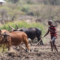 Los países en desarrollo se endeudan y puede llevarles a consecuencias fatales