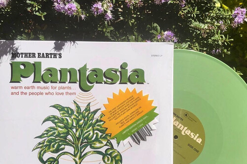 Cómo una canción para hacer crecer las plantas acabó inspirando la música de The Legend of Zelda 