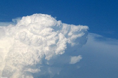 Pareidolia: poniendo orden en el caos