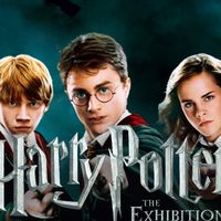 ¿Eres de Gryffindor o Slytherin? Descúbrelo en la exposición de Harry Potter que llega a Valencia en abril 