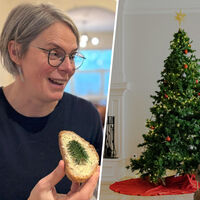 Na Bélgica, as autoridades pediram aos seus cidadãos que não comessem a árvore de Natal; e eles têm bons motivos 