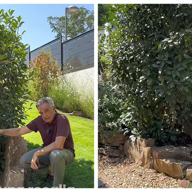 Un experto en jardinería explica las tres mejores formas de salvar los desniveles del jardín sin renunciar a las plantas 