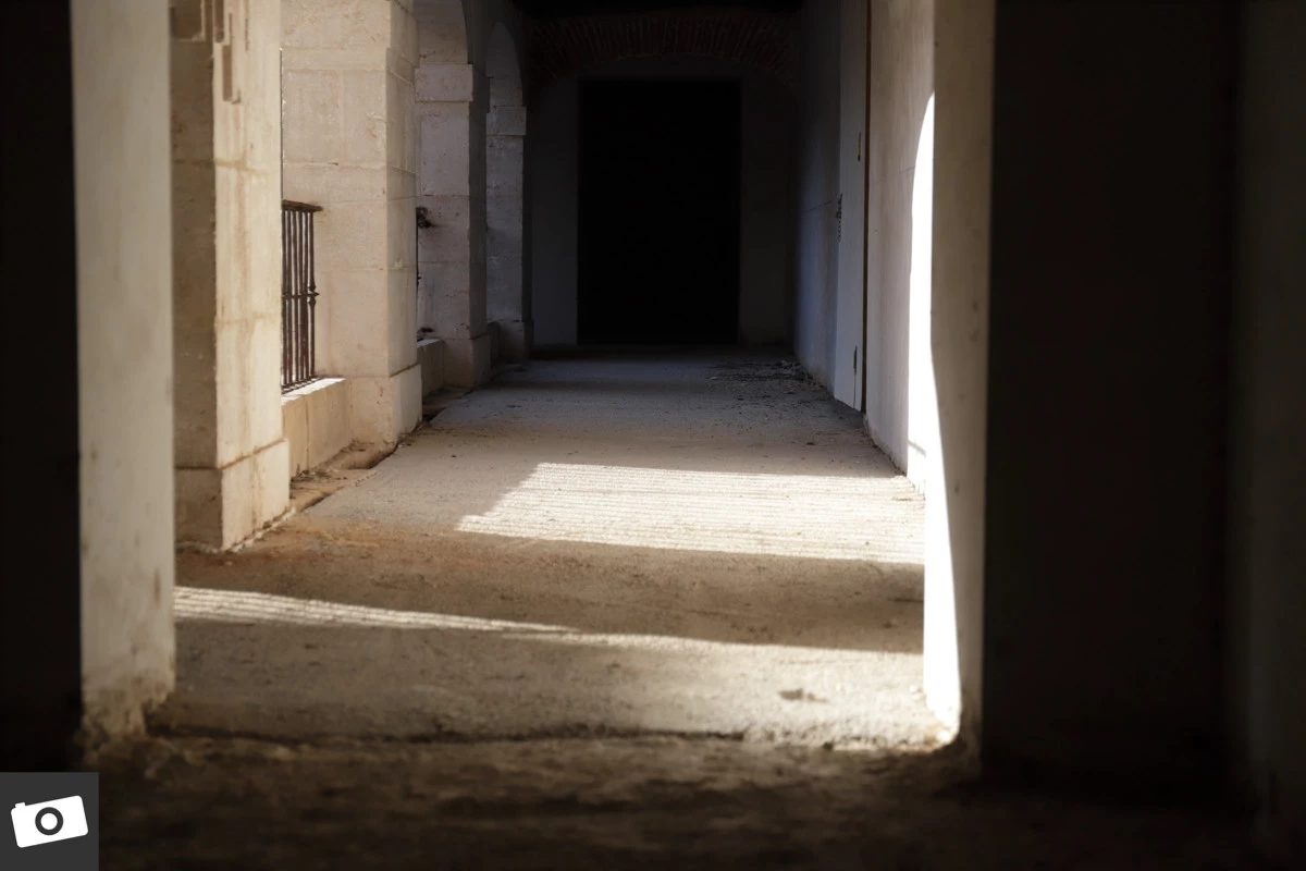 Canon EOS 6D Mark II