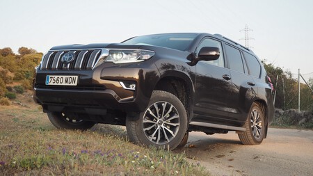 Toyota Land Cruiser Limited 17