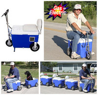 Nevera portátil motorizada