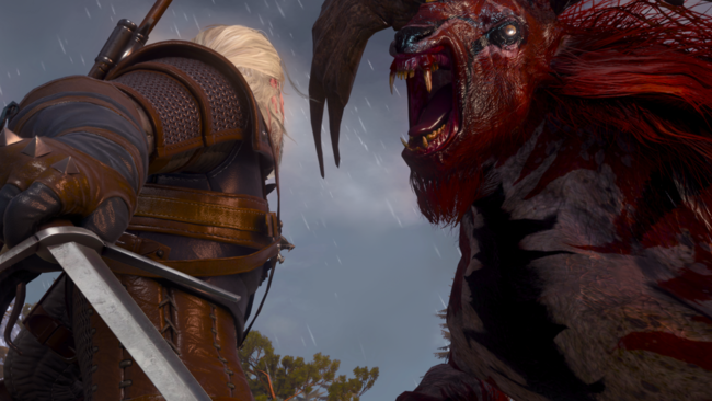 The Witcher 3 Mods Next Gen