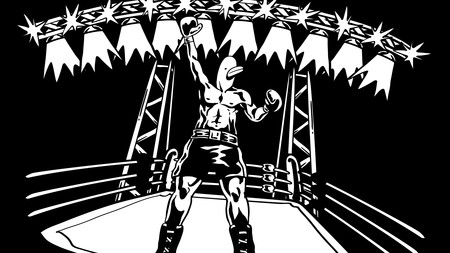 Pato Box, un juego basado en Punch-Out protagonizado por un pato, llegará a Nintendo Switch