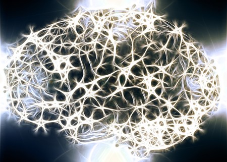Éste es el primer mapa completo de los circuitos de un cerebro