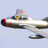 Rusia tardó años en entender que sus pilotos corrían un grave peligro. Gracias a ello ahora sabes cómo pescar en Animal Crossing