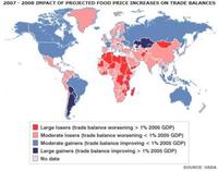 Naciones Unidas nos enseña el impacto alimenticio
