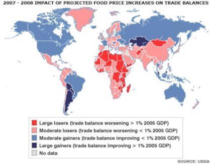 Naciones Unidas nos enseña el impacto alimenticio