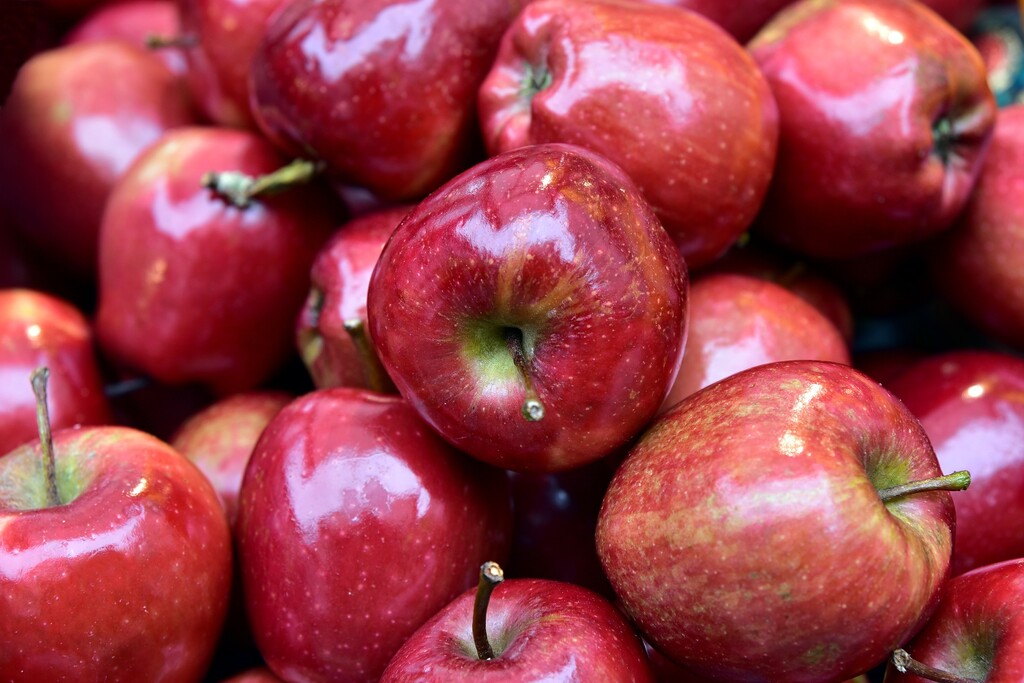 ¡Es temporada de manzanas! Aquí te decimos todo lo que necesitas saber para cocinar con ellas