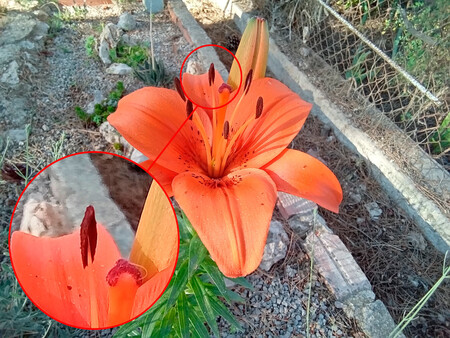 Samsung Galaxy Tab A7 Lite