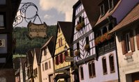 Kintzheim, un pueblecito de Alsacia con rapaces y viñedos 