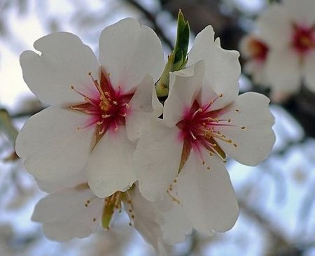 Diez imprescindibles para la Primavera 2011 (II)