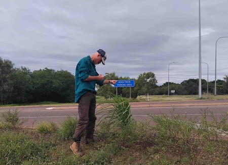 Gamba Grass Inspection Australia