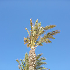 image01