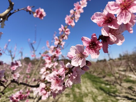 Img 20260222 115238801