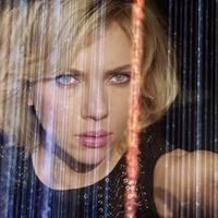 Nunca antes um filme francês arrecadou tanto nas bilheterias: foi até melhor que "Intocáveis" ​​internacionalmente e está disponível para aluguel em todas as plataformas SVOD, exceto Netflix 