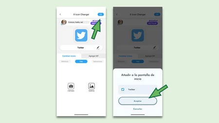 cambiar icono twitter