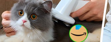 Corta el pelo de tus mascotas gratis con esta oferta. Llega al día siguiente, funciona para perros y gatos, y es fácil de utilizar  