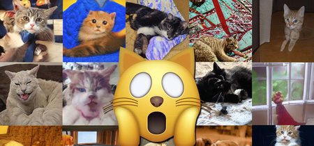 'Este gato no existe': a la inteligencia artificial le cuesta más generar animales que humanos 