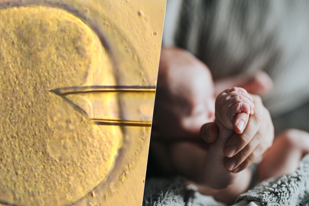 Un bebé, tres padres: la fecundación 'in vitro' ha dado un sorprendente paso utilizando ADN mitocondrial