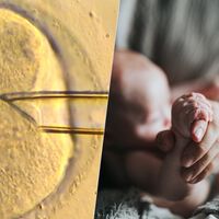 Un bebé, tres padres: la fecundación 'in vitro' ha dado un sorprendente paso utilizando ADN mitocondrial