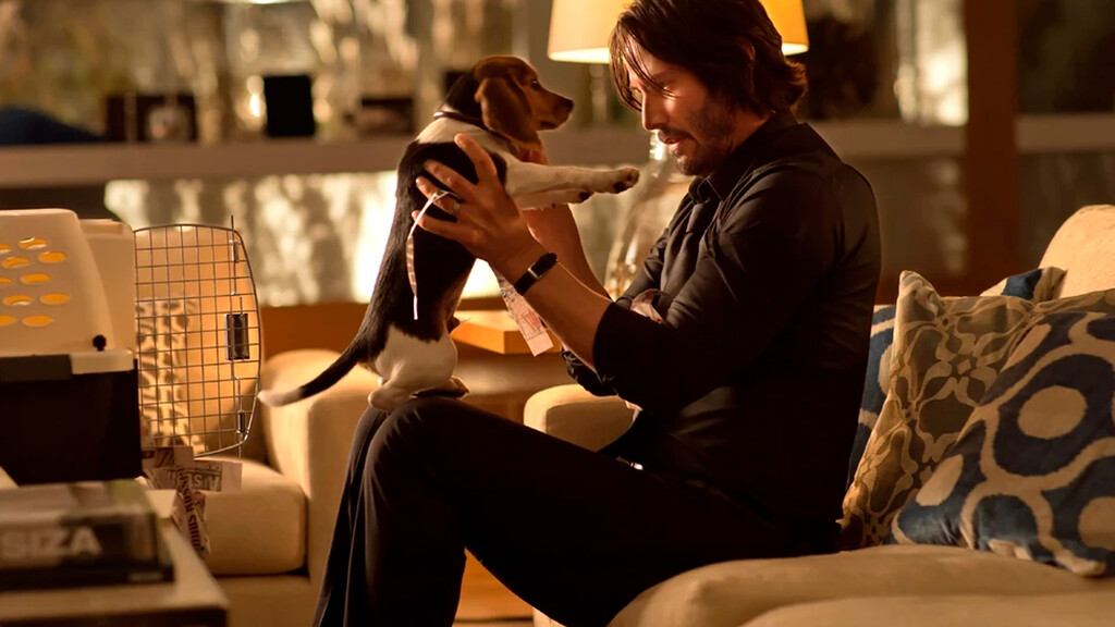 La increíble historia real que inspiró John Wick: un perrito asesinado y un ex-Navy SEAL en busca de venganza La increíble historia real que inspiró John Wick: un perrito asesinado y un ex-Navy SEAL en busca de venganza