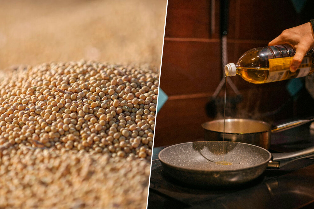 Los silos de soja de EEUU están a reventar porque China ya no la compra. La amenaza de EEUU es el aceite usado 