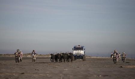 Gardians of Dakar, de nuevo Red Bull asombra con el vídeo previo del Dakar 2015