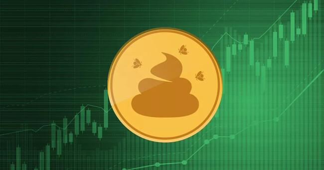 shitcoin