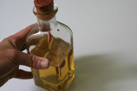 El aceite de oliva también protege nuestros huesos