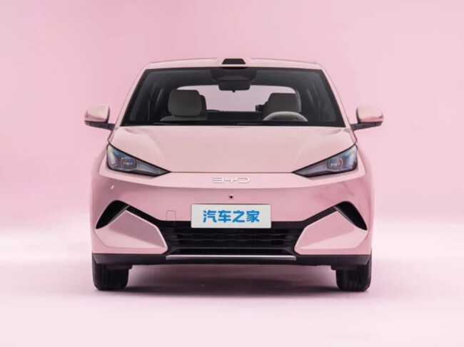 Nuevo Byd Dolphin Mini 1