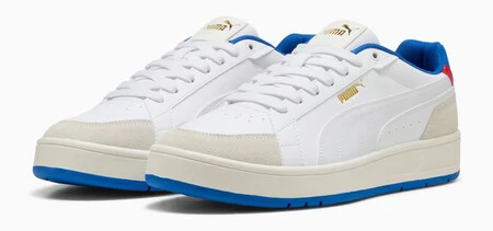 Puma2