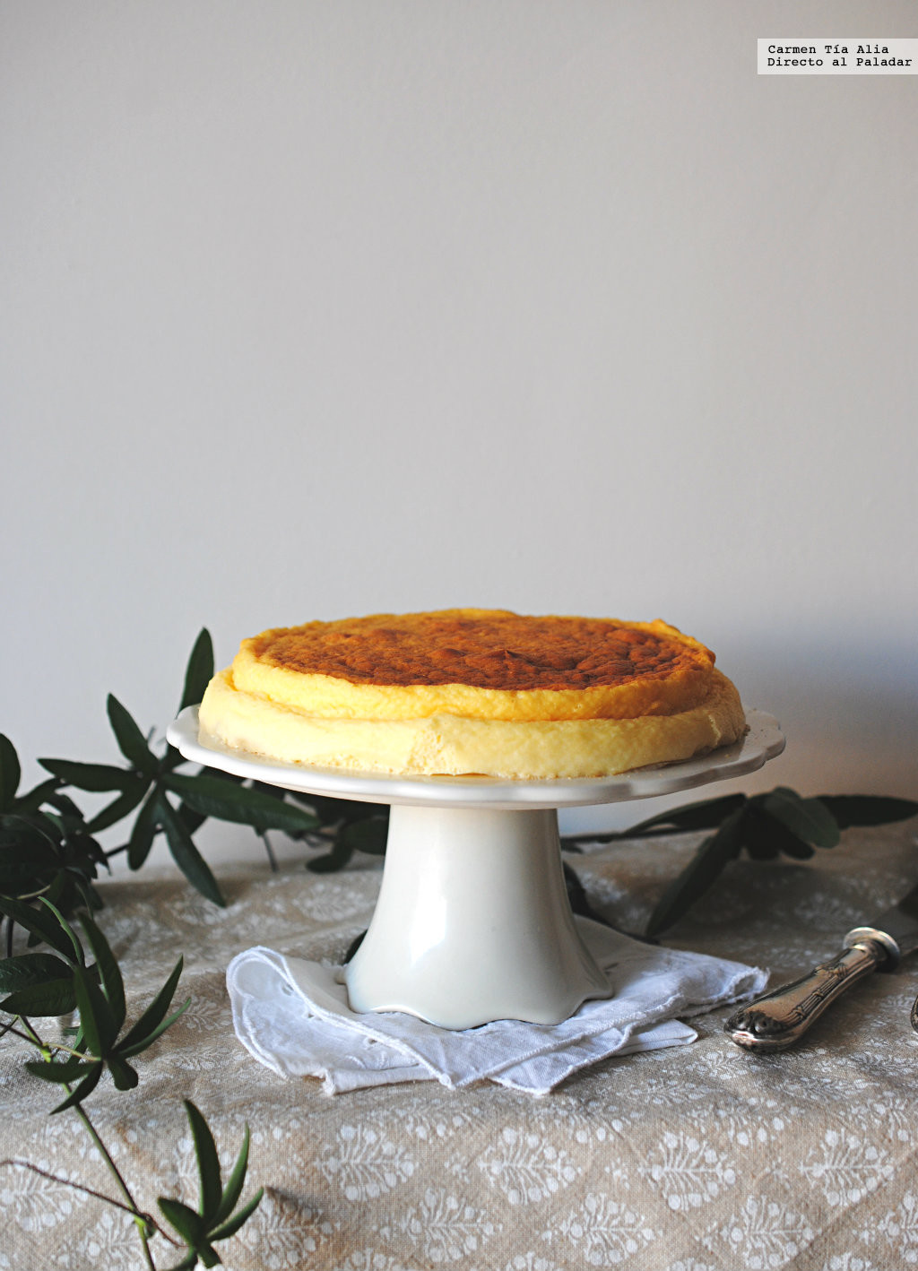 Cheesecake De Tres Ingredientes Receta De Cocina F cil Sencilla Y 