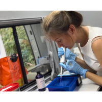 Nem mísseis, nem drones: o inimigo letal e invisível que se espalha pela Ucrânia (e a invenção bizarra usada para caçá-lo) 