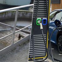 Baterias de lítio-enxofre para carros elétricos enfrentam um problema e fezes humanas podem ser a solução 