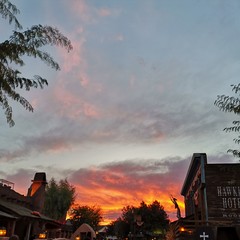 Foto 11 de 45 de la galería fotos-mate-20-mes-de-uso en Xataka