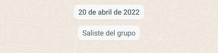 Saliste Del Grupo Whatsapp